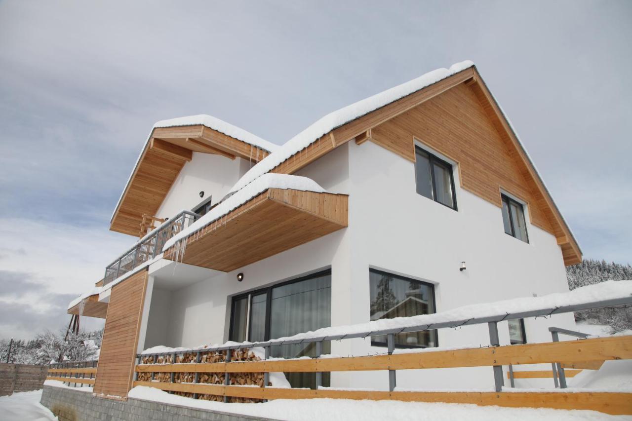 Double House Bakuriani Apartment Ngoại thất bức ảnh